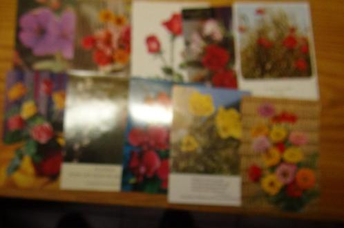 Cartes postales avec fleurs, Collections, Cartes postales | Thème, Affranchie, Saisons, Enlèvement ou Envoi