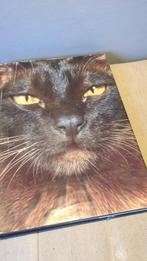Cats boeken, Ophalen of Verzenden, Zo goed als nieuw