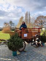 Koets, Dieren en Toebehoren, Rijtuigen en Koetsen, Zo goed als nieuw