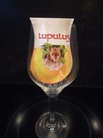 Lupulus glas 33cl CE M24 0122 Ayano, Verzamelen, Ophalen of Verzenden, Nieuw, Glas of Glazen, Overige merken