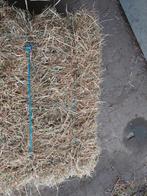 Kleine pakjes hooi, Dieren en Toebehoren