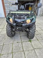 quad Yamaha grizzly, Motoren, 300 cc