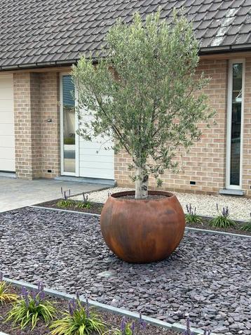 Cortenstaal bloempotten beschikbaar voor biedingen