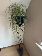Planten staander, Huis en Inrichting, Kamerplanten, Ophalen