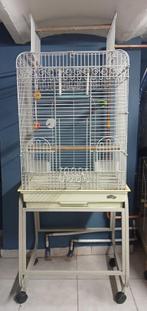 Grote kooi op wielen met complete accessoires, Dieren en Toebehoren, Ophalen of Verzenden