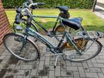Heren fiets Gazelle maat 57, Fietsen en Brommers, Ophalen, Gebruikt, Versnellingen, 57 tot 61 cm