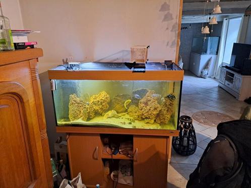 Aquarium à vendre 300litre marque juwel, Dieren en Toebehoren, Vissen | Aquaria en Toebehoren, Zo goed als nieuw, Ophalen