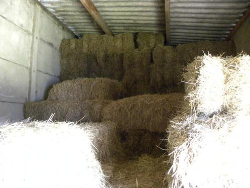 Ballots de foin d'excellente qualité, Dieren en Toebehoren, Dierenvoeding, Ophalen