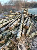 Berkenhout brandhout, Tuin en Terras, Brandhout, 6 m³ of meer, Ophalen, Berkenhout, Stammen