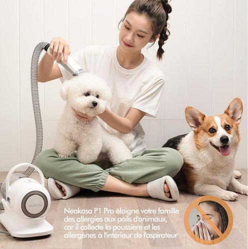 Aspirateur Professionnelle pour Poil Long Epais, chien chat, Animaux & Accessoires, Autres accessoires pour animaux, Neuf, Envoi