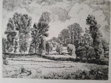 Grote ets van Albert Delstanche Boomrijk Landschap beschikbaar voor biedingen