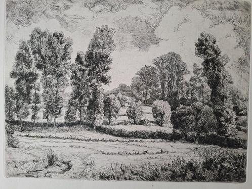 Grote ets van Albert Delstanche Boomrijk Landschap, Antiek en Kunst, Kunst | Etsen en Gravures, Ophalen of Verzenden