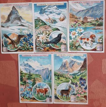 5 CHROMOLITHOS LIEBIG : Sang. 740 Unif. 741 : SCHWEITZER LAN beschikbaar voor biedingen