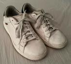 Witte sneakers Levi’s maat 42, Enlèvement ou Envoi, Comme neuf, Chaussures