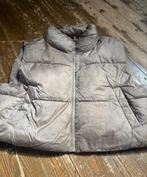Jasje M, Kleding | Dames, Bodywarmers, Ophalen of Verzenden, Zo goed als nieuw