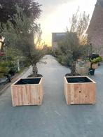 Prachtige bloembakken volledig op maat!, Ophalen, Nieuw