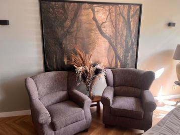 2 heerlijk zittende landelijke fauteuils beschikbaar voor biedingen