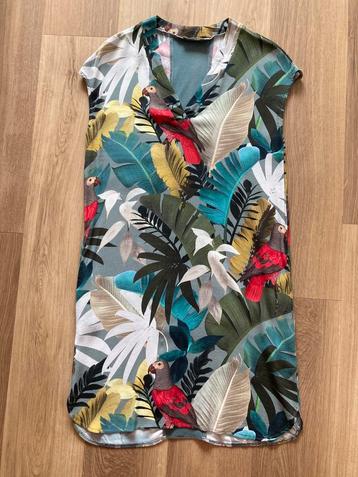 Zomerjurk Geisha beschikbaar voor biedingen