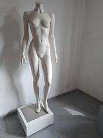 Mannequin Ralph Pucci, Enlèvement