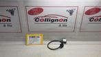 KABELBOOM Seat Leon (1P1) (01-2005/08-2013) (5N0035554), Gebruikt, Seat