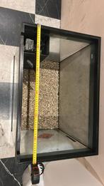 Aquarium – 150 L (sans meuble), Enlèvement ou Envoi, Comme neuf