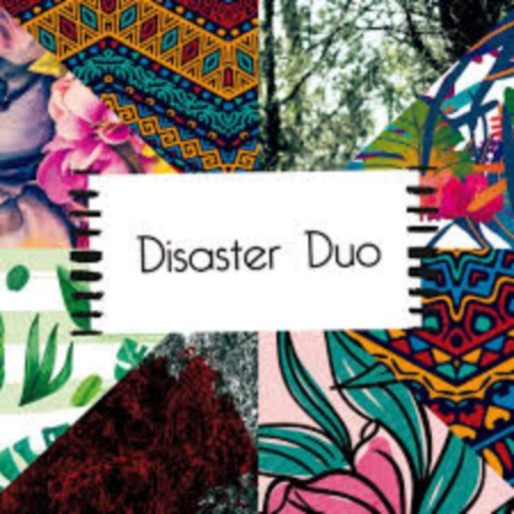 CD- Disaster Duo * Zeer Zeldzame CD!!, Cd's en Dvd's, Cd's | Pop, Ophalen of Verzenden