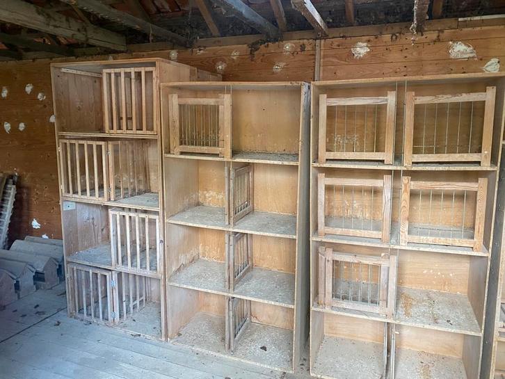 Duivenhok materiaal, Dieren en Toebehoren, Vogels | Hokken en Kooien, Gebruikt, Overige typen, Hout, Ophalen