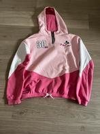 Hoodie disneyland 14 jaat, Ophalen, Zo goed als nieuw