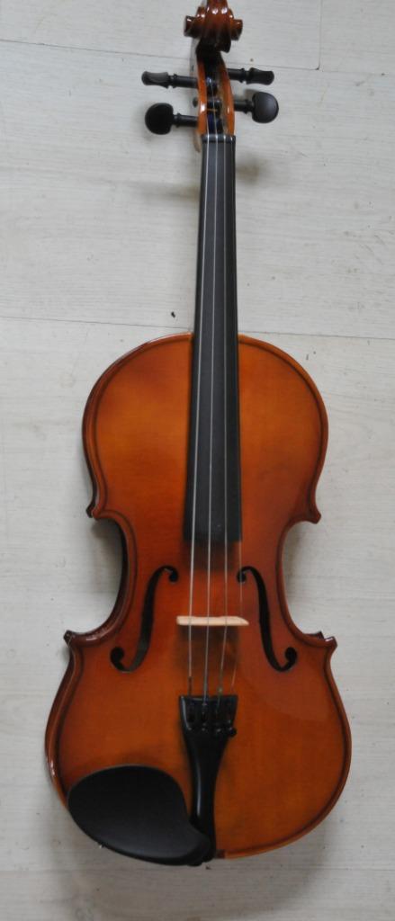 Nieuwe ongebruikte Stagg 4/4 viool, Muziek en Instrumenten, Strijkinstrumenten | Overige, Nieuw, Ophalen of Verzenden