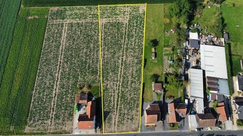 Grond te koop in Anzegem, Immo, Gronden en Bouwgronden, 1500 m² of meer