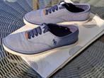 Ralph Lauren sneakers nieuw enkel gedragen om te passen (40), Kleding | Heren, Schoenen, Ralph Lauren, Nieuw, Sneakers, Verzenden
