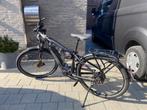 Flyer speedpedelec, Fietsen en Brommers, Ophalen, Zo goed als nieuw, Overige merken