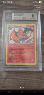 Bgs 9 zard, Ophalen of Verzenden