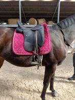 Wintec pro dressage, Animaux & Accessoires, Enlèvement ou Envoi, Utilisé, Dressage