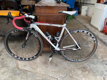 Thompson R-7000 racefiets - Campagnolo Chorus – maat 48 cm, Fietsen en Brommers, Fietsen | Racefietsen, Carbon, Minder dan 49 cm