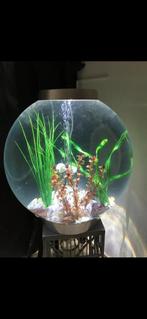 Mooie ronde aquarium   80€, Dieren en Toebehoren