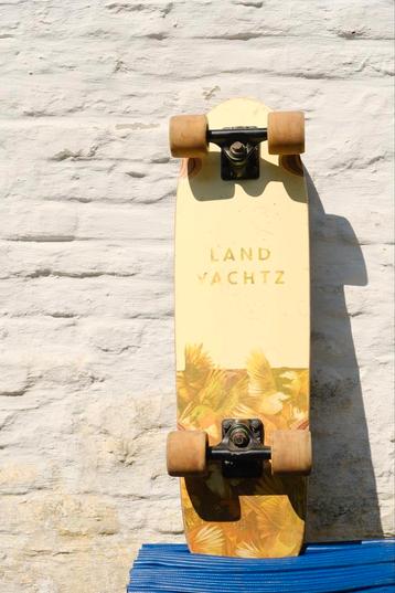 Landyachtz dinghy birds, Enlèvement, Utilisé, Skateboard, Longboard