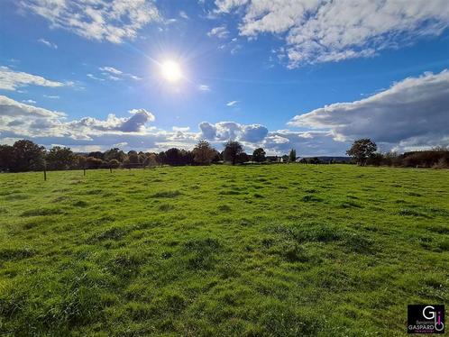 Grond à vendre à Mont, Immo, Gronden en Bouwgronden, 1500 m² of meer