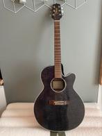 Takamine EG540C, Musique & Instruments, Utilisé