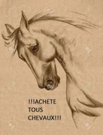 Achète tout types de chevaux, Dieren en Toebehoren, Paarden, L