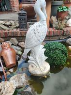 Reiger, Tuin en Terras, Ophalen