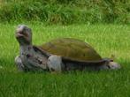Beeld Schildpad XL - Polystone - Vintage Look, Ophalen of Verzenden, Kunststof, Dierenbeeld