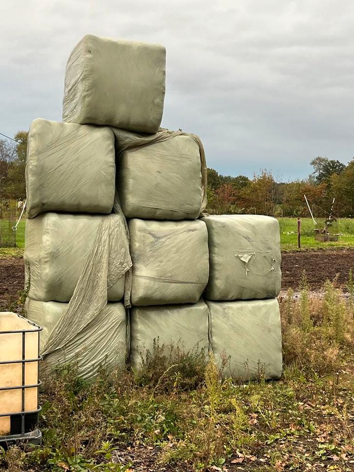 Hooi paarden in plastic zomer 2024, Dieren en Toebehoren, Dierenvoeding, Ophalen