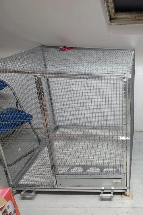 Boxe aluminium pour gris du gabon, Dieren en Toebehoren, Vogels | Hokken en Kooien, Nieuw, Aluminium, Ophalen