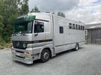 Paardenvrachtwagen 6paards, Ophalen of Verzenden, Gebruikt, Overige typen