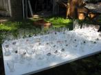 verzameling bierglazen, Verzamelen, Ophalen, Zo goed als nieuw, Bierglas
