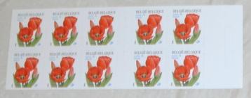 1 boekje B40 rode tulpen 10 x europa