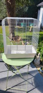 Cage canaris hauteur 65 cm, Enlèvement, Comme neuf, Métal, Cage à oiseaux