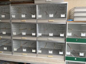 broedkooien, kooien, kanarie kweekkooien, kweekkooien, vogel beschikbaar voor biedingen