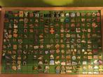 Pins pays divers, Ophalen of Verzenden, Zo goed als nieuw